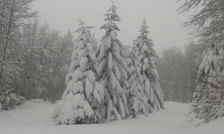 IMMINENTE PEGGIORAMENTO DAL SAPORE INVERNALE