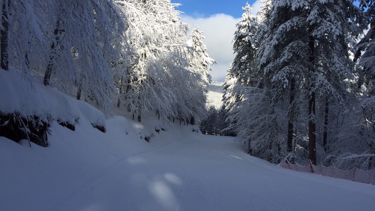 Imminente ritorno all'inverno