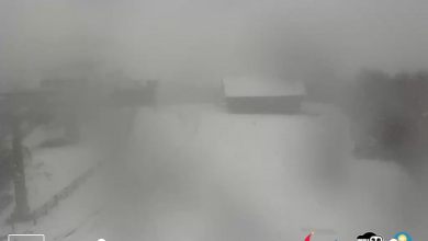 Continua a NEVICARE in Sila! Si va per i primi 10cm