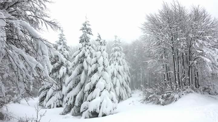 Capodanno al Gelo! Neve o secco?