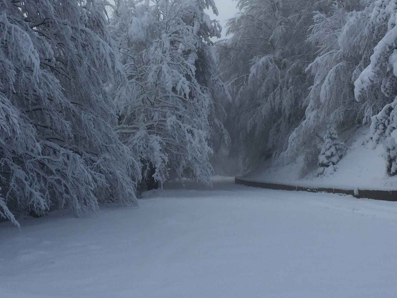 Fine settimana instabile con nevicate sui monti