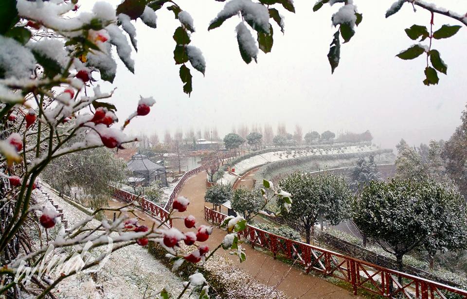 La situazione aggiornata della NEVE in Calabria!!!!!!