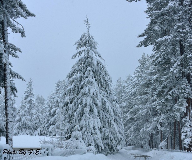 Dove nevicherà nel weekend? PRIME IPOTESI! Ed intanto per la prossima settimana....