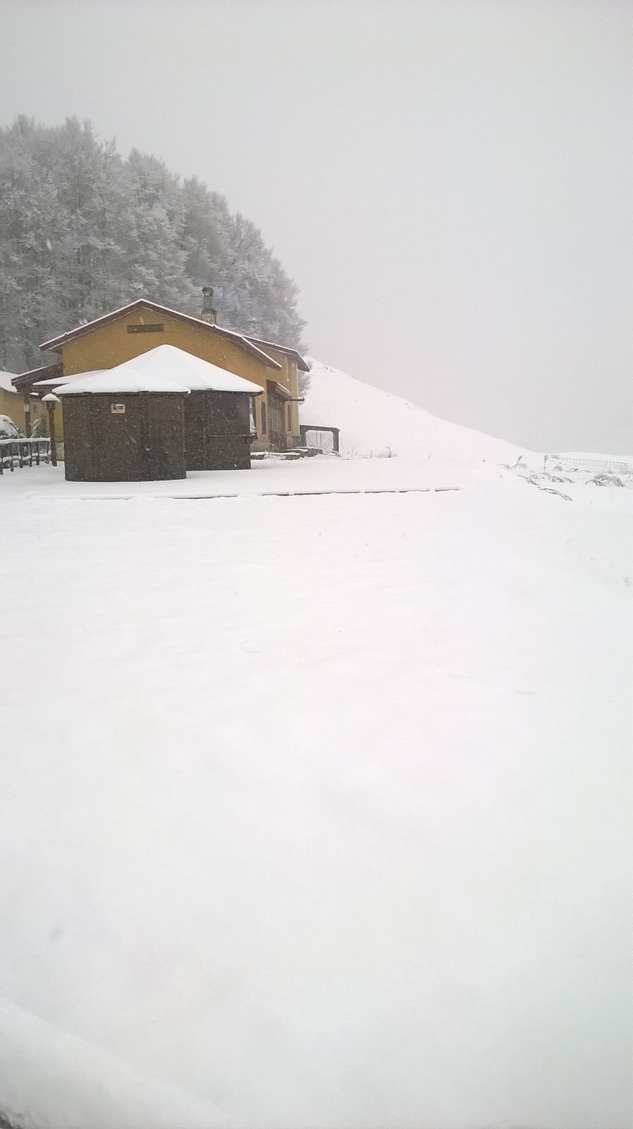 Nevicate moderate sul Pollino: le foto