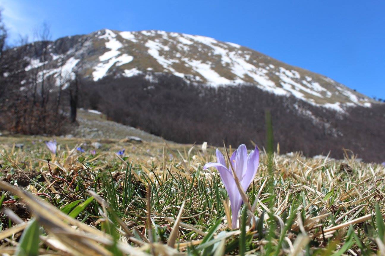 Il tempo di mercoledì e giovedì: ritorno a temperature un pò più consone per il periodo...