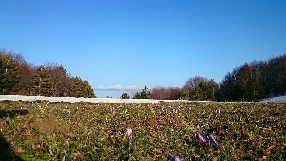 Calabria sottozero! Oggi le prime minime negative