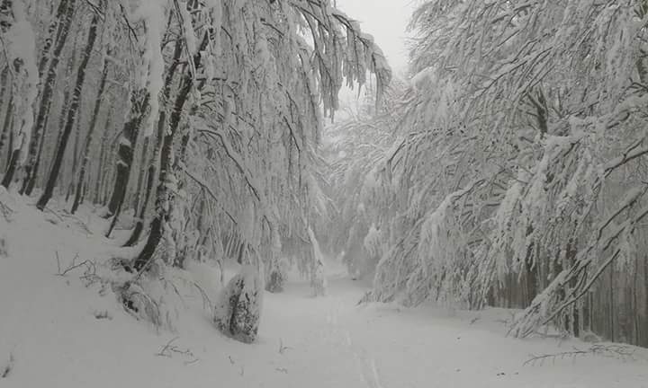 In arrivo la prima neve sui monti?!