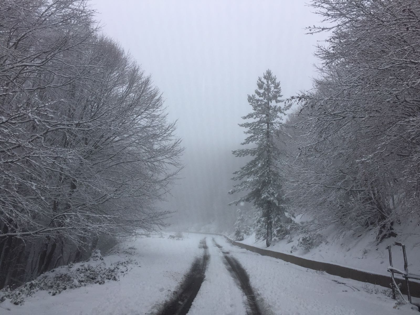 Vette Silane in veste invernali: le foto della prima vera nevicata!