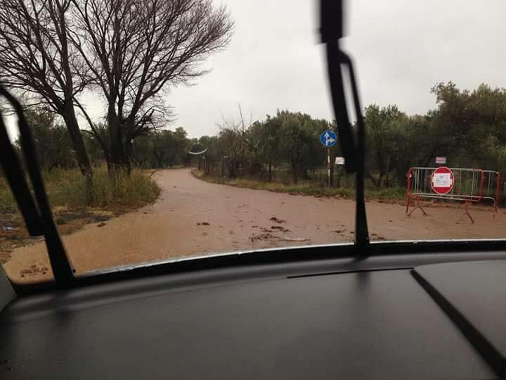 LA DIRETTA: serre vibonesi sotto oltre 200 mm, Catanzaro città flagellata da quasi 150 mm. CROLLA UN PONTE SUL FIUME ALLARO!