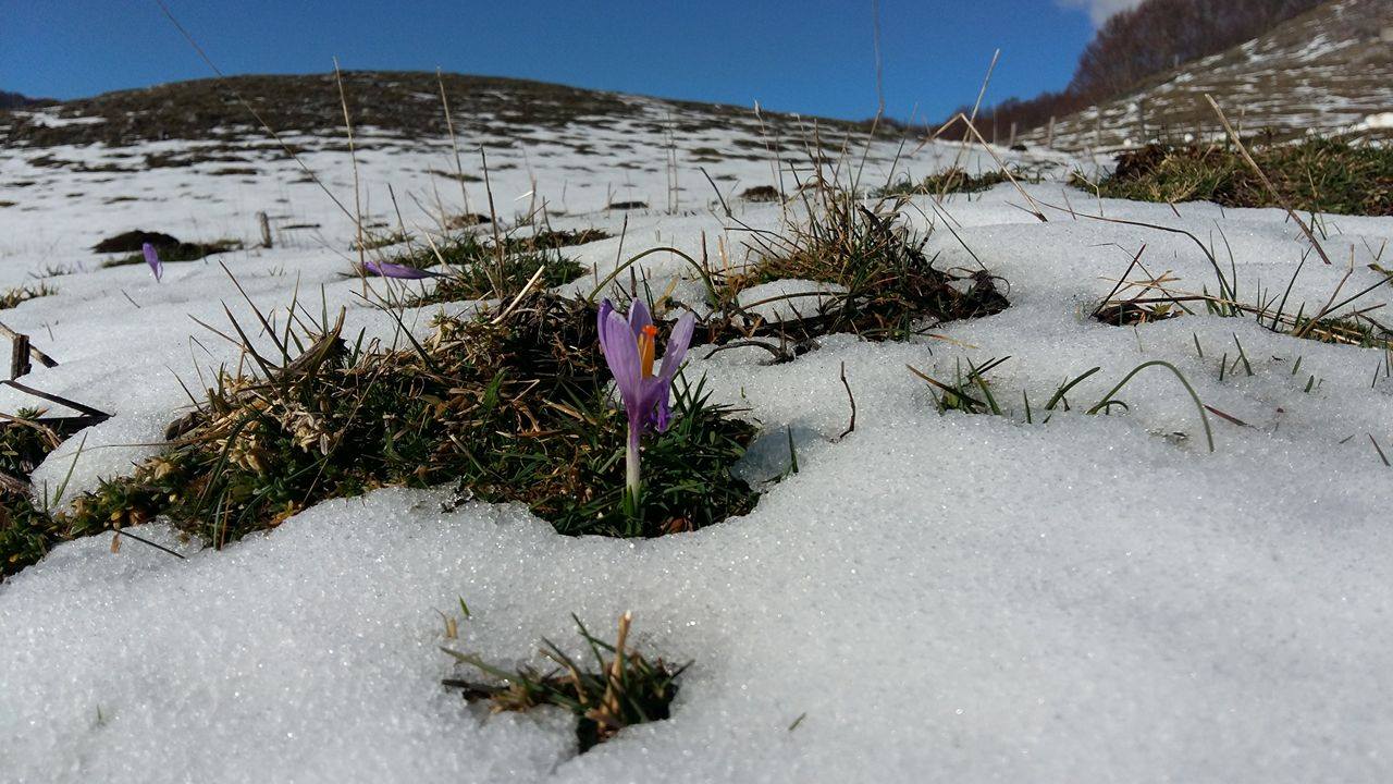 Meteo per domenica e lunedì: nubi sparse e tramontana bye bye...