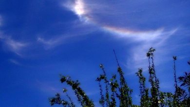 Nubi iridescenti sui cieli calabresi: cosa sono?