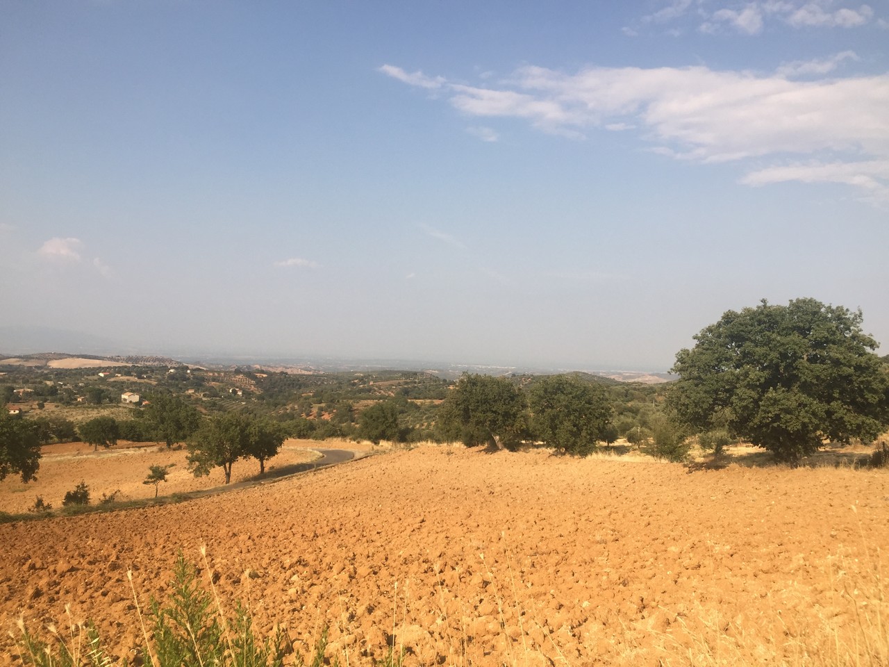 Resoconto della primavera 2017 in Calabria: ancora caldo e secco ad oltranza quasi ovunque...