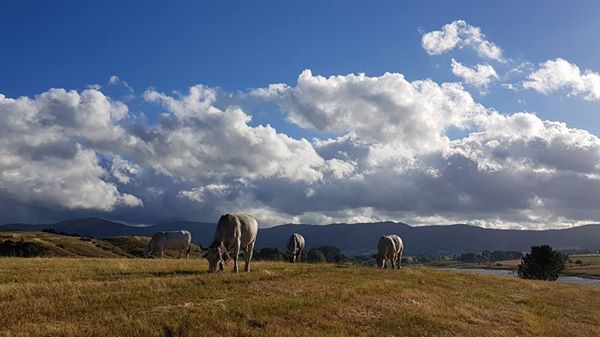 Meteo di venerdì e sabato: ulteriore deciso miglioramento con temperature in graduale ascesa