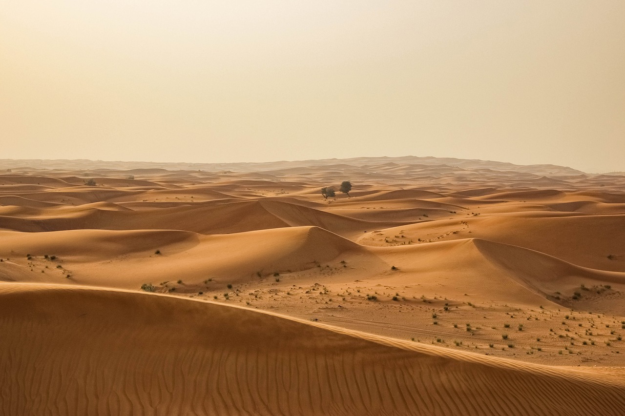 Si entra nel vivo di questa ennesima, poderosa ondata di calore