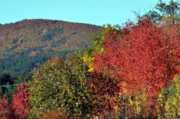 Calabria autunno sereno sole