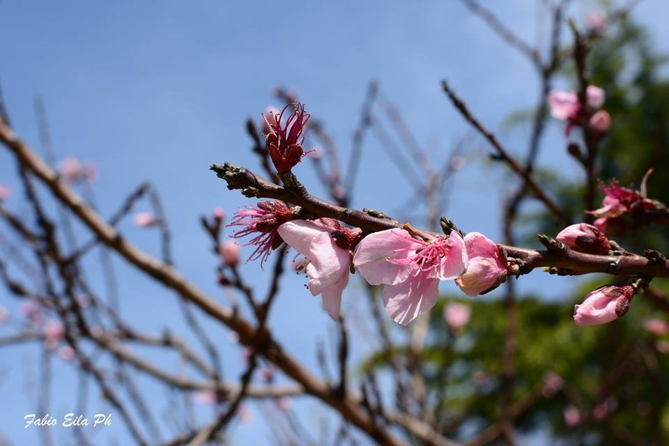 Meteo di martedì e mercoledì: tempo stabile e temperature in rialzo