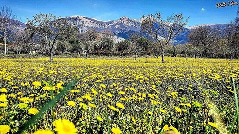 Prosegue la fase stabile e mite sulla Calabria