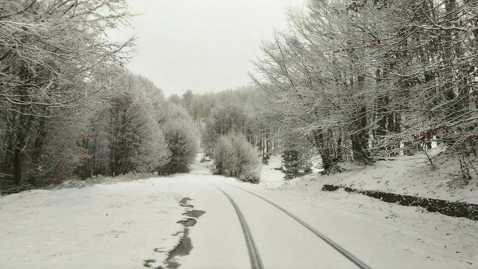 neve calabria