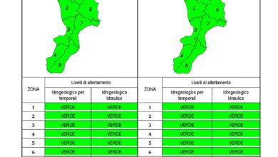 Criticità idrogeologica-idraulica e temporali in Calabria 09-01-2020