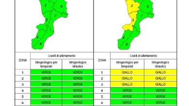 Criticità idrogeologica-idraulica e temporali in Calabria 13-02-2020