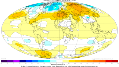 mappa anomalie temperature globali da satellite febbraio 2020
