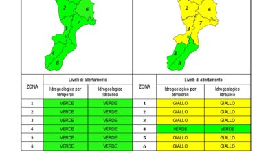 Criticità idrogeologica-idraulica e temporali in Calabria 24-09-2020