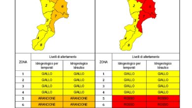 Criticità idrogeologica-idraulica e temporali in Calabria 20-11-2020