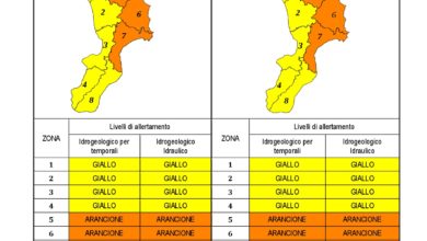 Criticità idrogeologica-idraulica e temporali in Calabria 22-11-2020