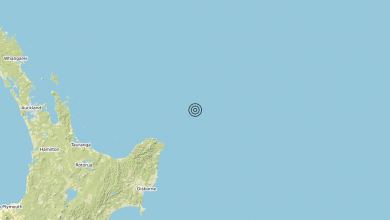 Terremoto 04-03-2021