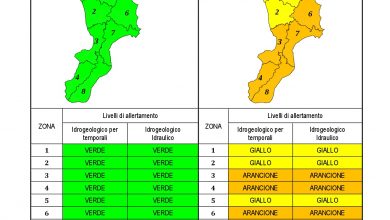 Criticità idrogeologica-idraulica e temporali in Calabria 24-11-2021