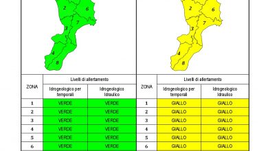 Criticità idrogeologica-idraulica e temporali in Calabria 08-12-2021