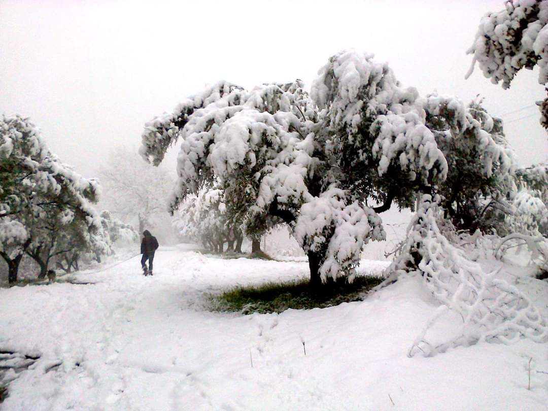 In arrivo freddo e nevicate a quote basse