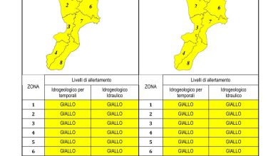 Criticità idrogeologica-idraulica e temporali in Calabria 17-05-2023